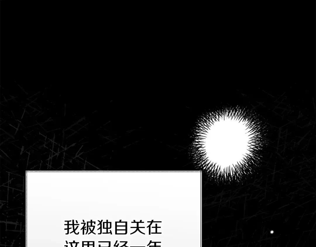 第27话 寻光