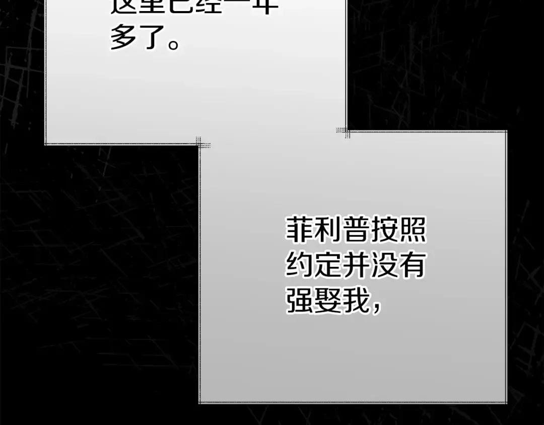 第27话 寻光