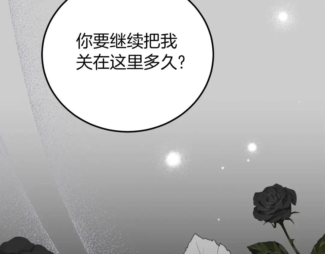 第27话 寻光