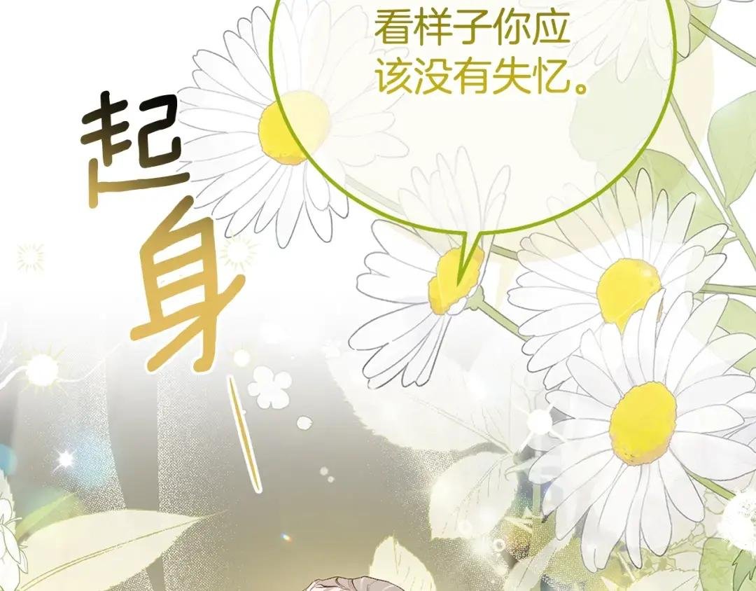 第35话 小玫瑰
