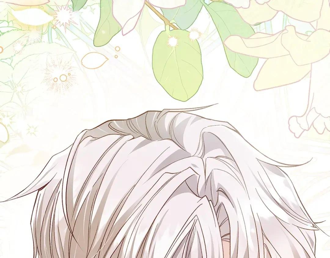 第35话 小玫瑰