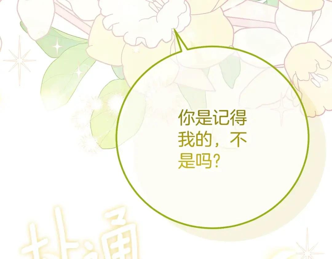 第35话 小玫瑰