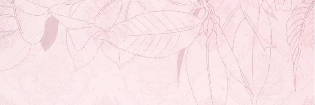 第35话 小玫瑰