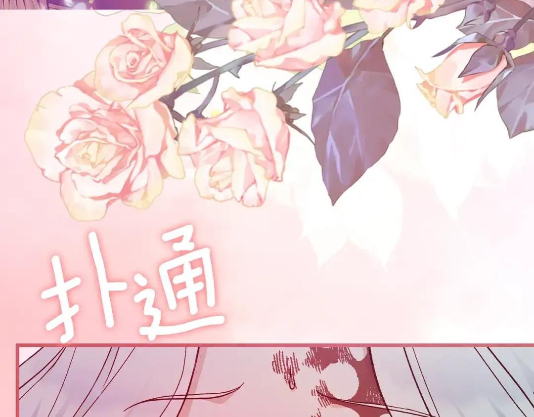 第35话 小玫瑰