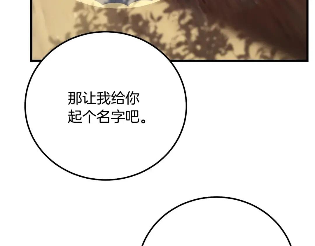 第35话 小玫瑰