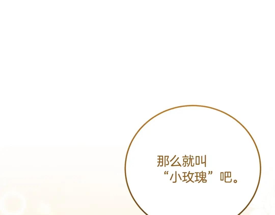 第35话 小玫瑰