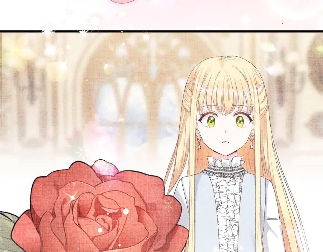 第35话 小玫瑰