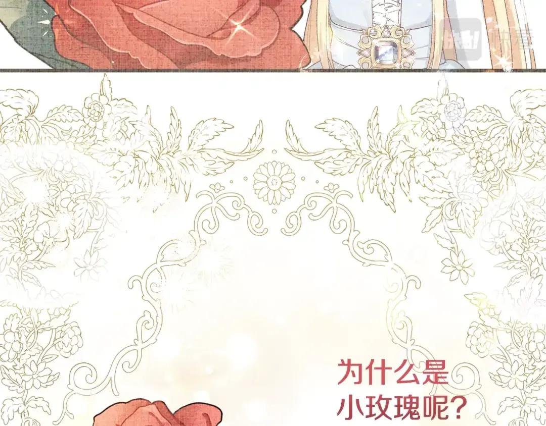 第35话 小玫瑰