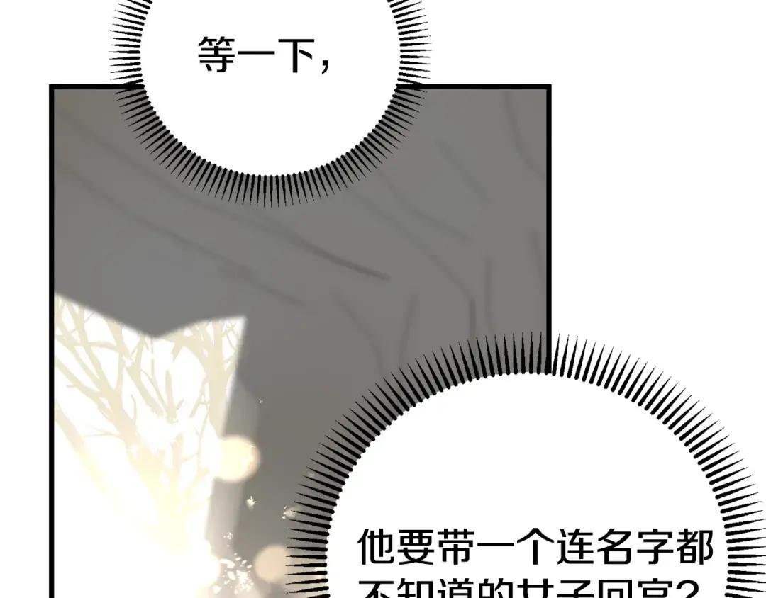 第35话 小玫瑰