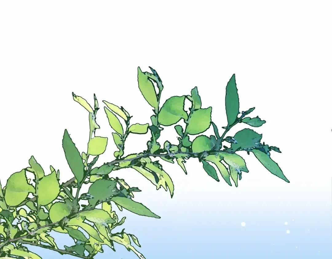 第38话 离开他