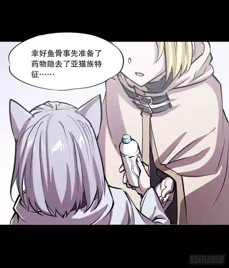 第116话 伪装