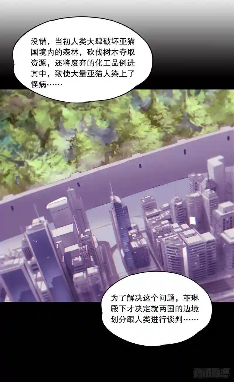 第120话 菲琳的秘密