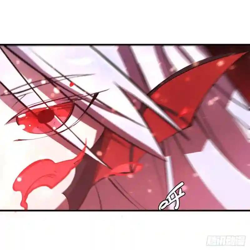 第159话 白姬樱蝶初见