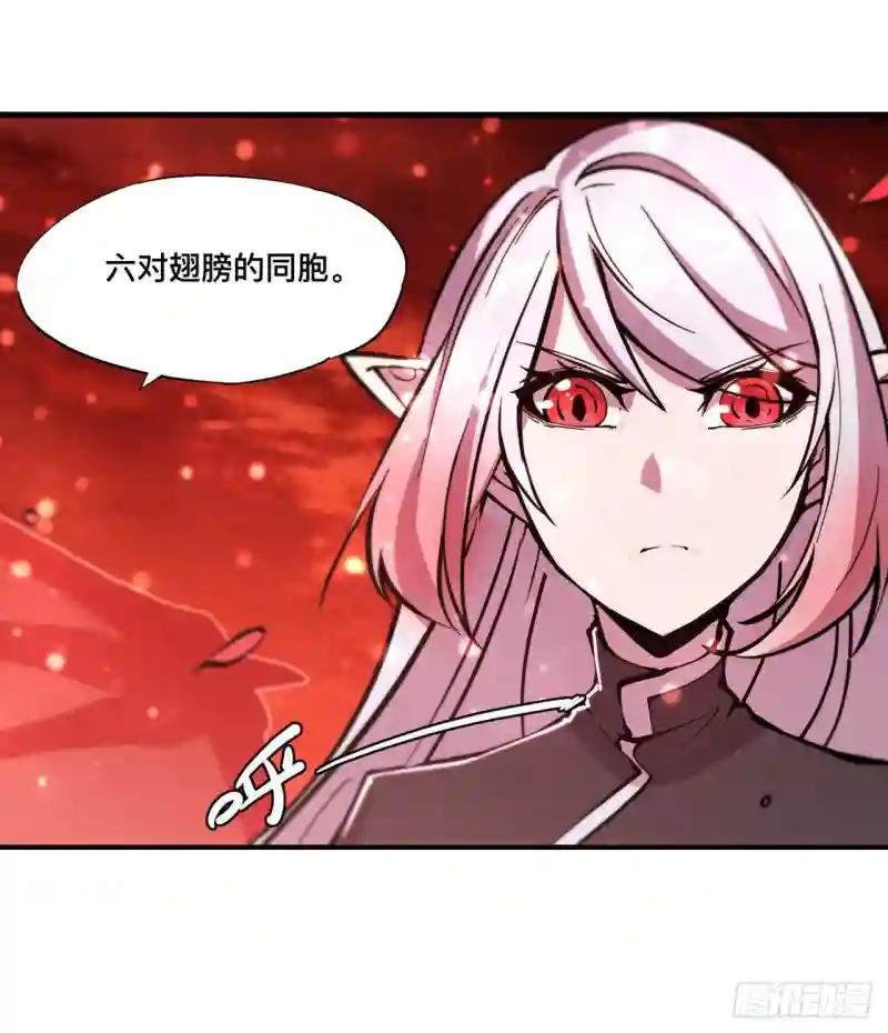 第159话 白姬樱蝶初见