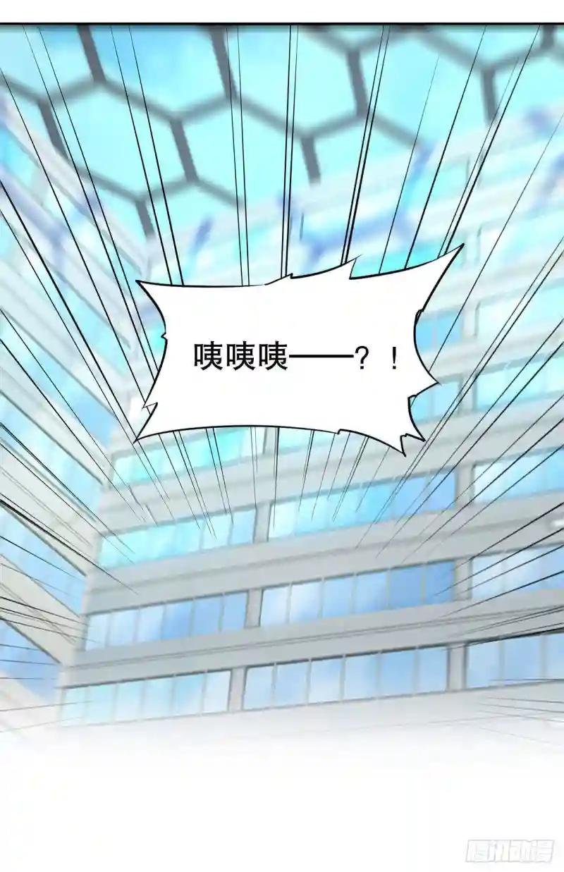 突然变的这么大！