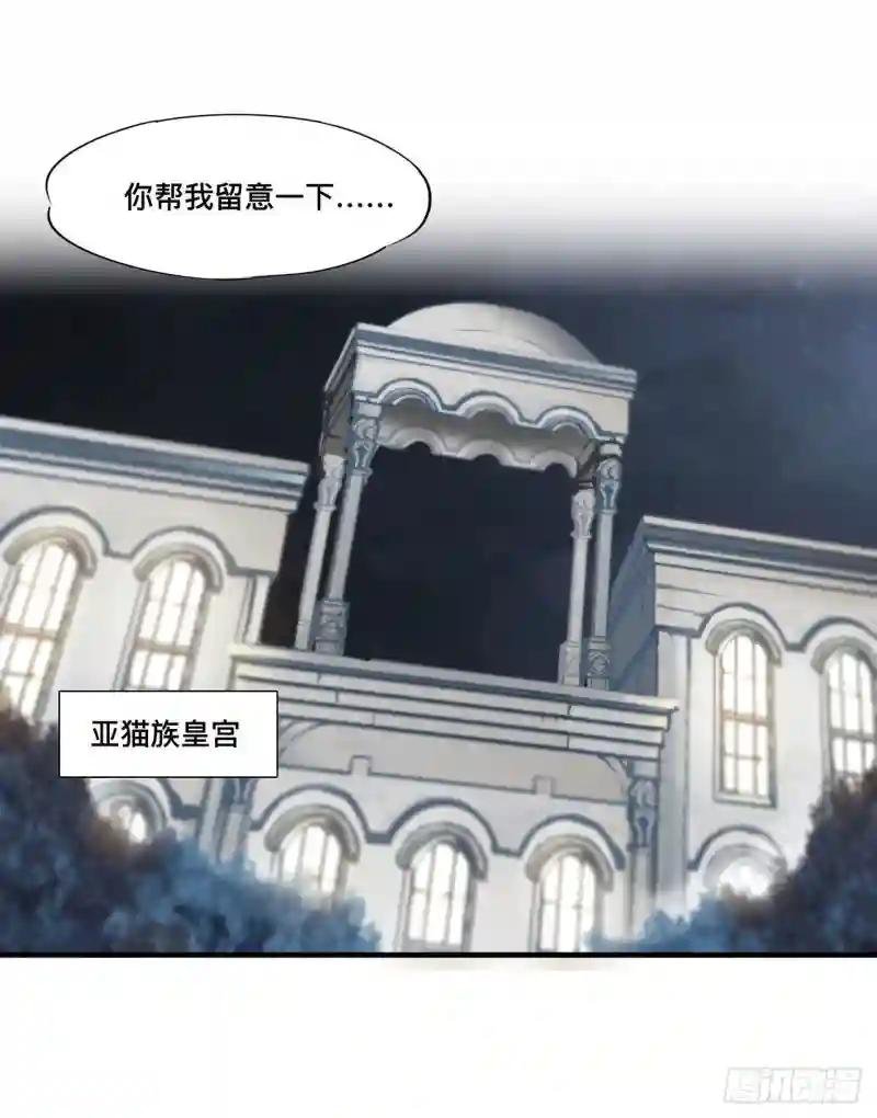 第193话 计划的婚礼