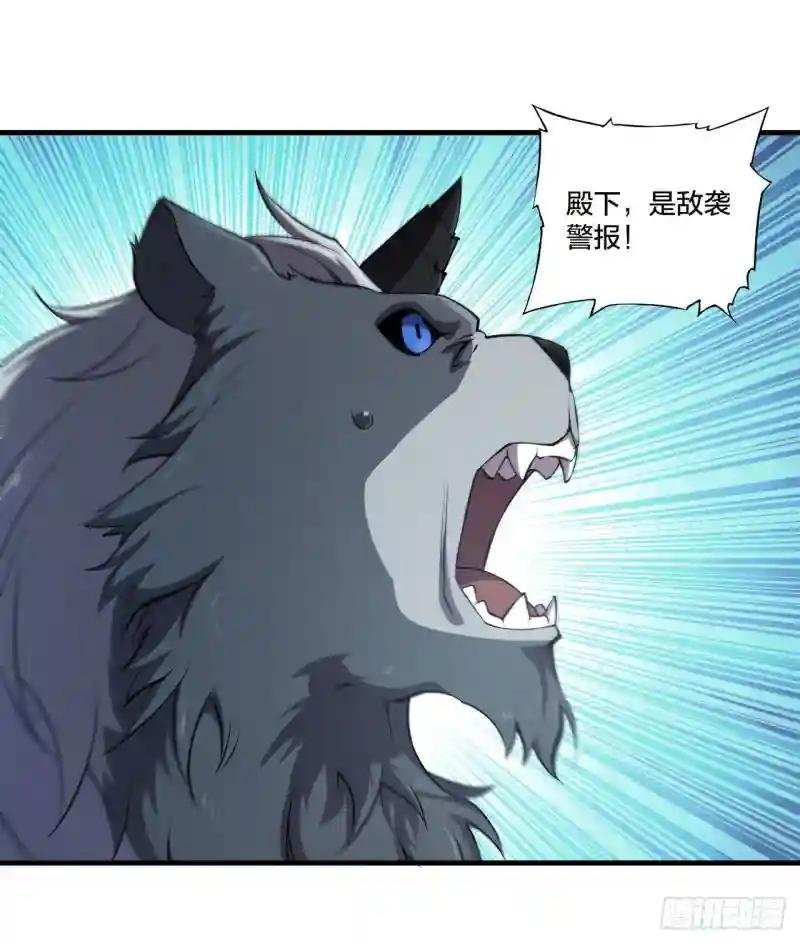 第231话 由咱来掌管