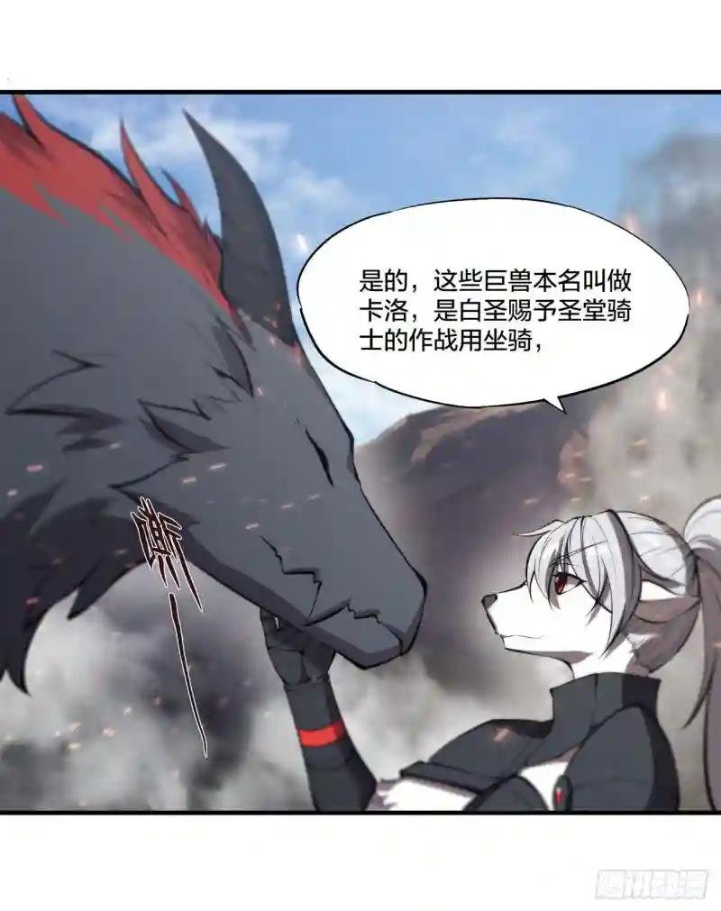 第233话 注定的会面