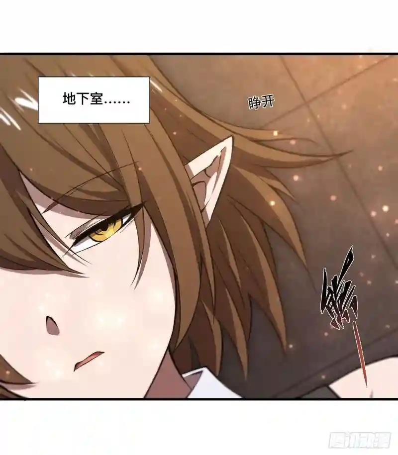 第251话 回到正轨