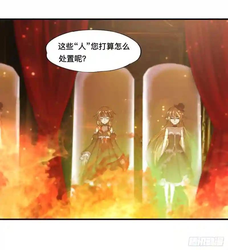 第251话 回到正轨