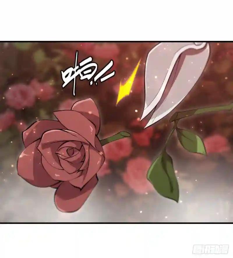 第252话 天罗地网