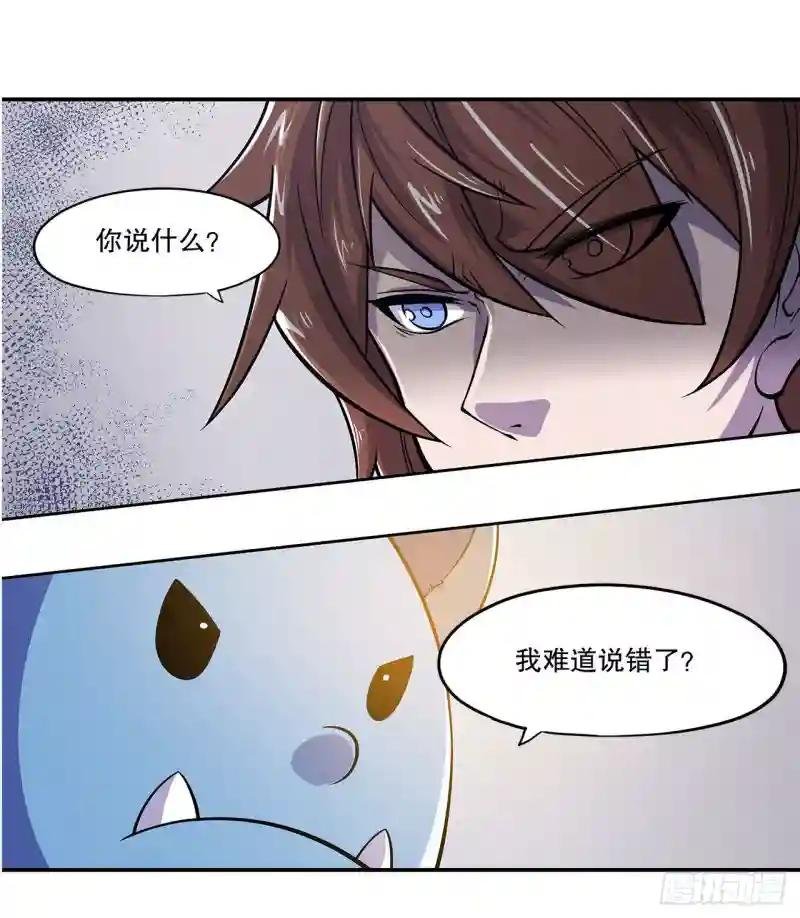 你们也配叫骑士！