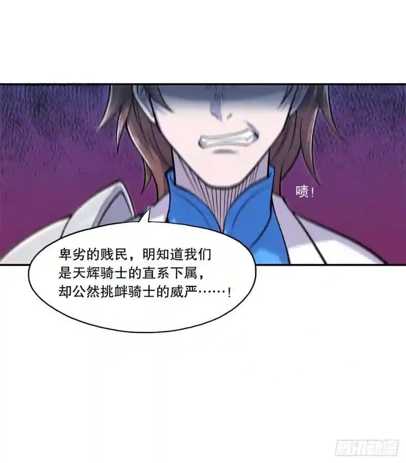 你们也配叫骑士！