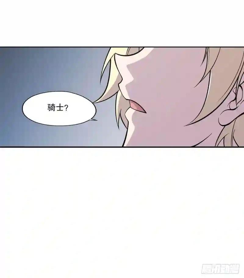 你们也配叫骑士！