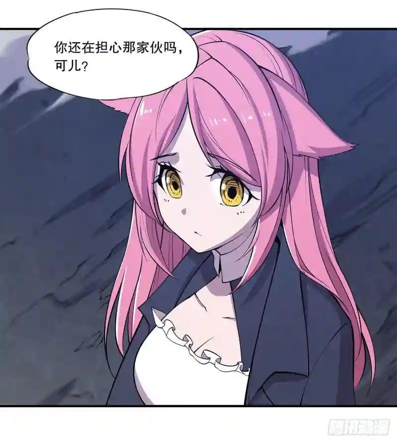 夜骑士登场！
