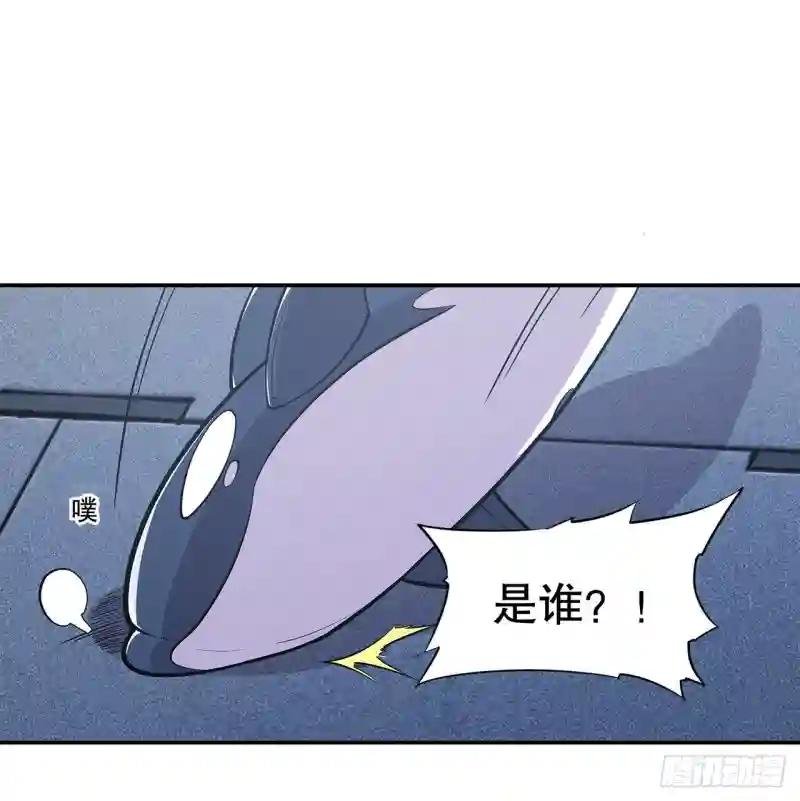 私闯泳池