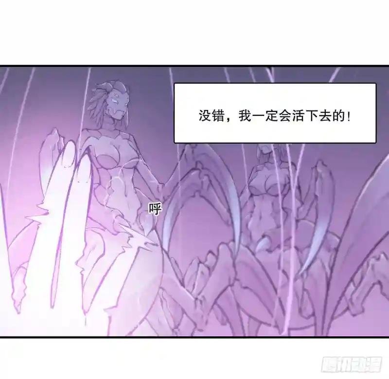 第72话 白姬登场
