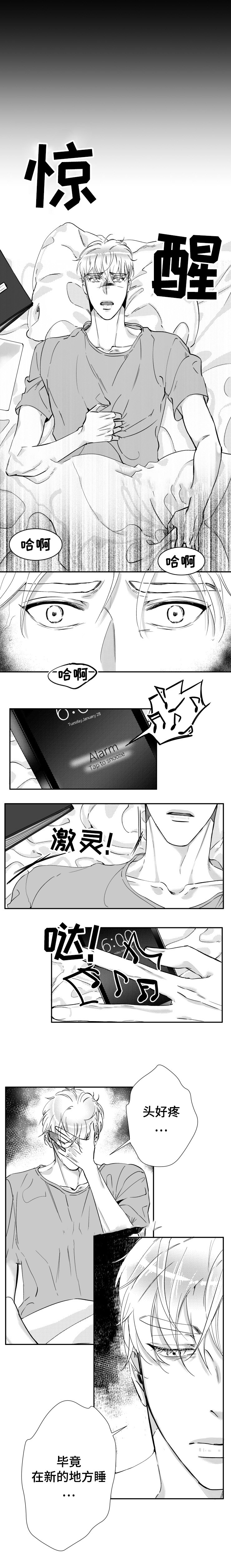 分手的梦