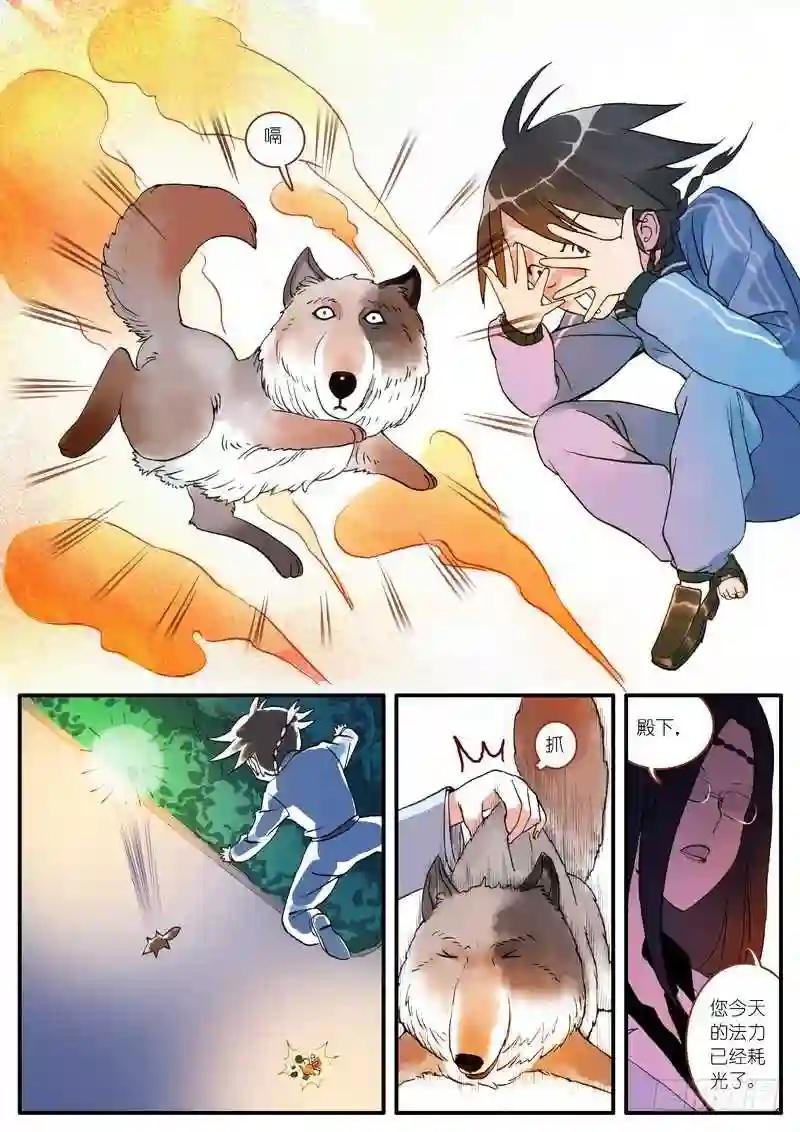 003