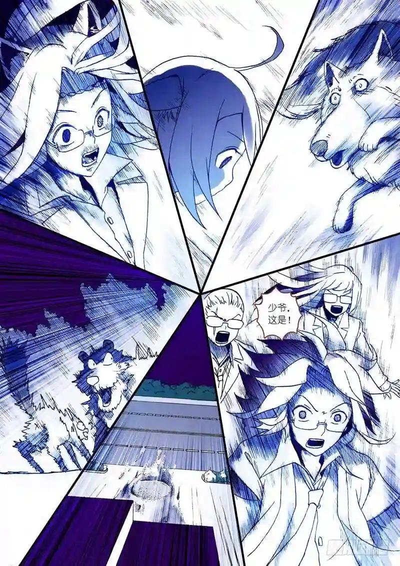 003