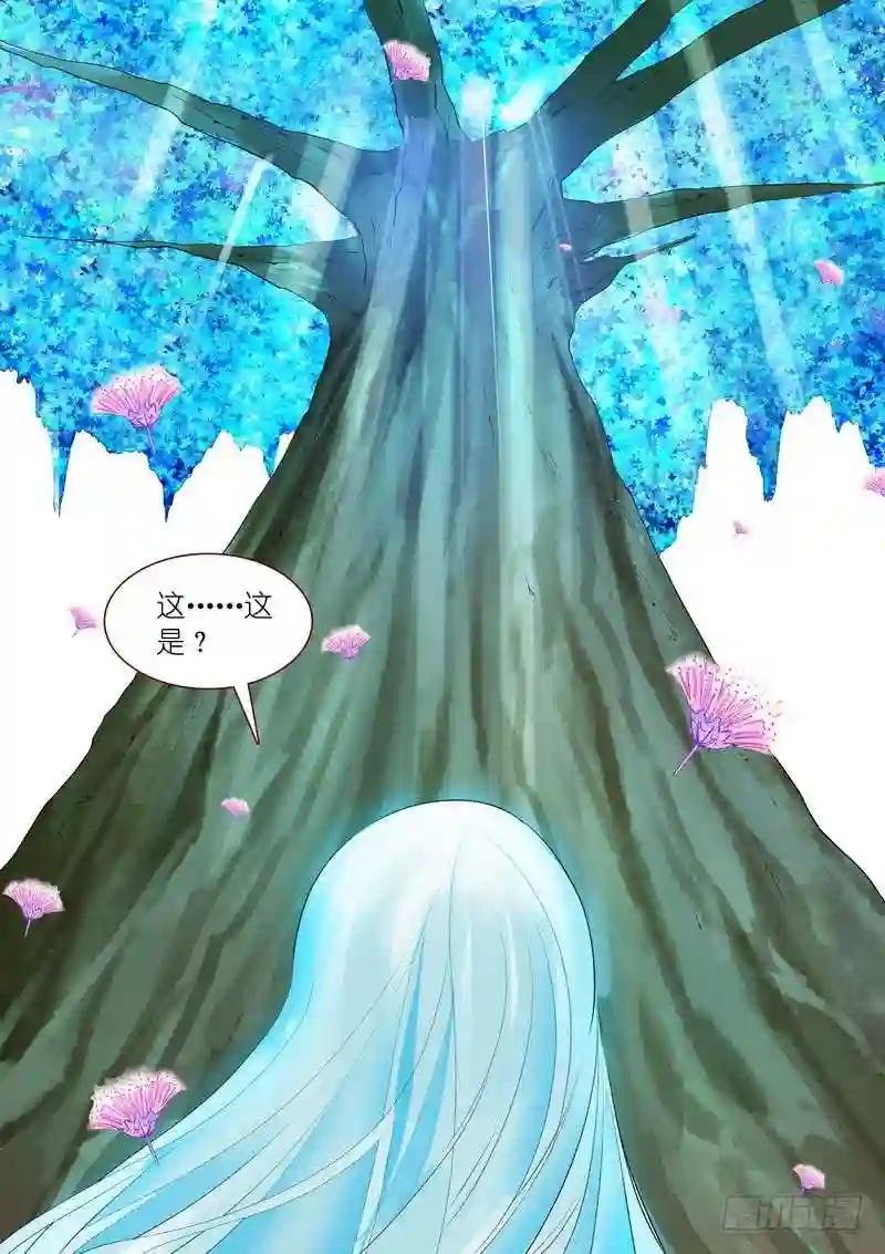 总241·恭喜你