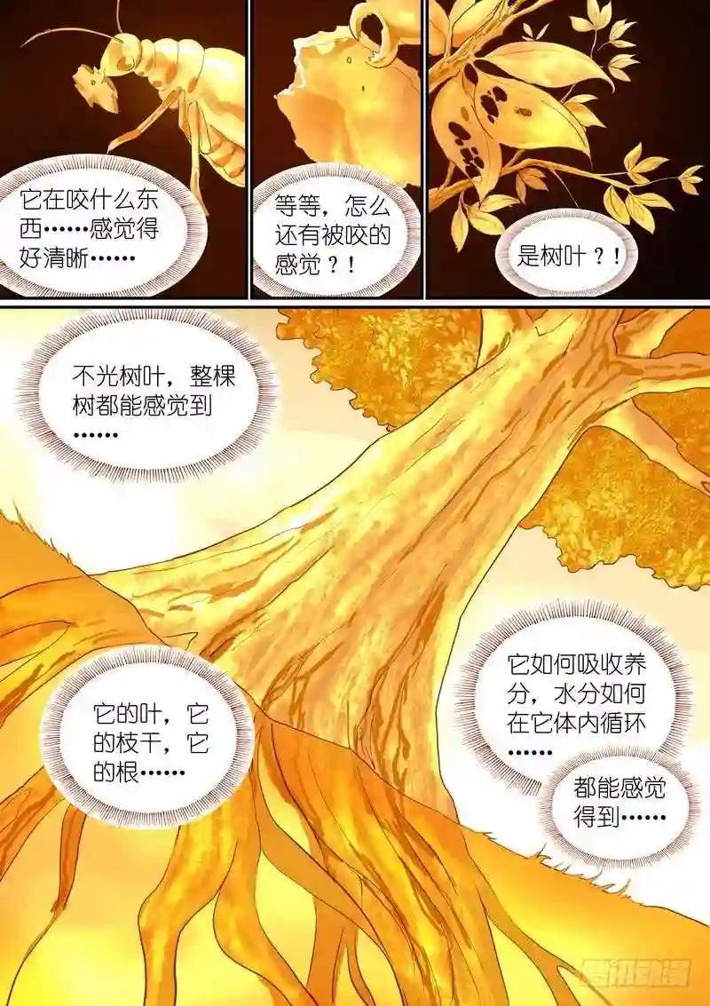 总288·高难度续缘任务?
