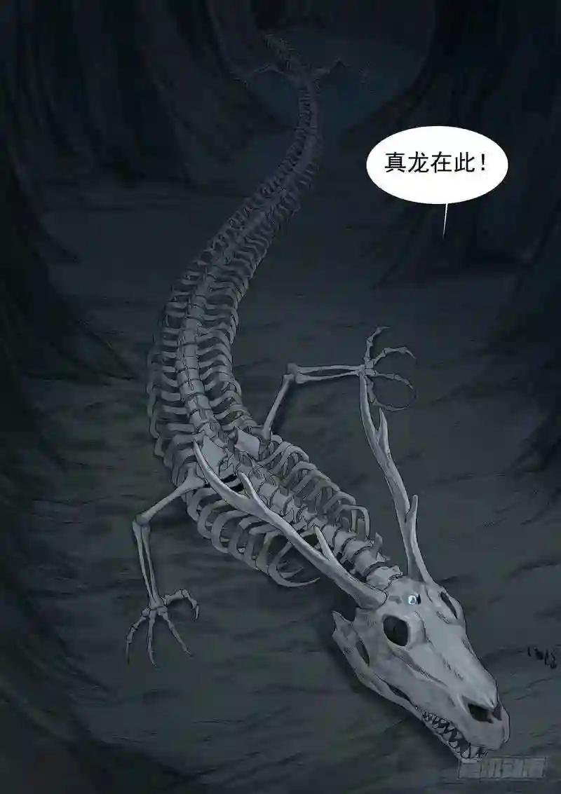 总352·真龙