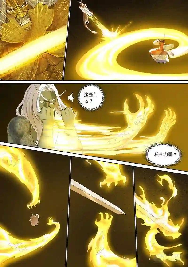 总357·王权剑才不是……
