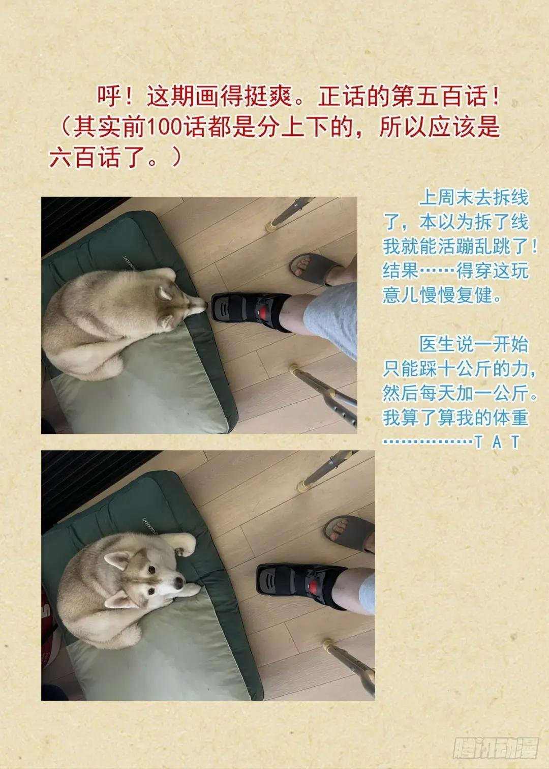 总500·战龙王