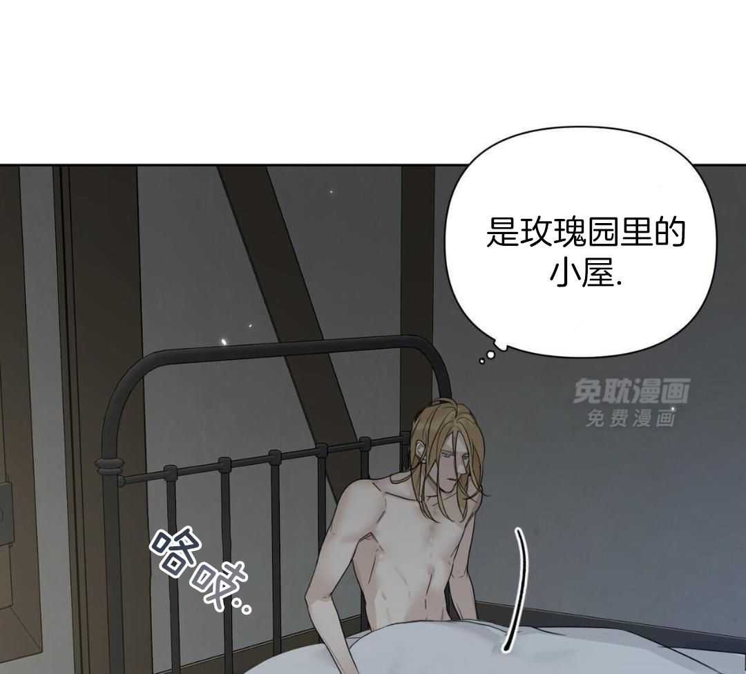回来了