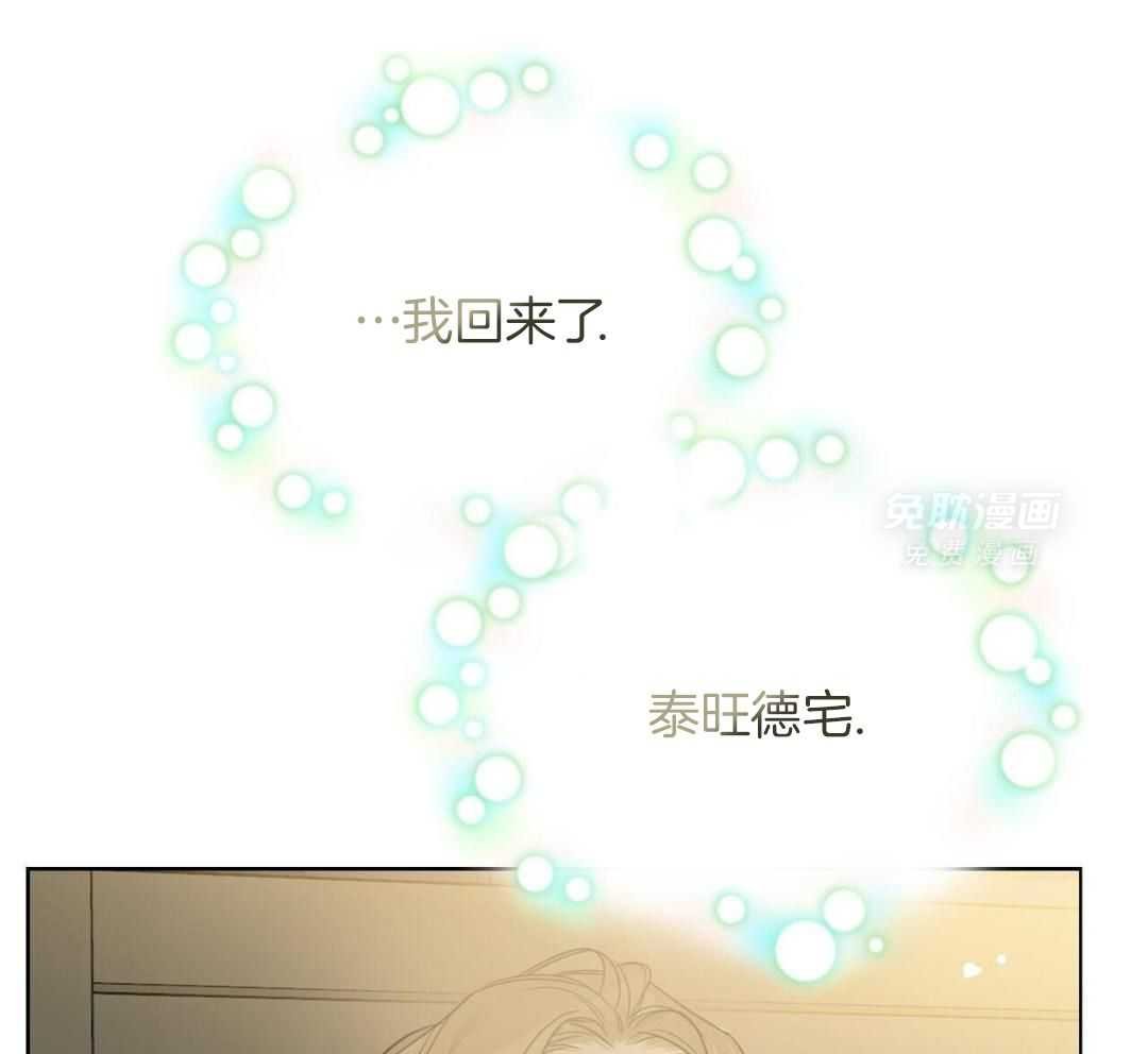 回来了