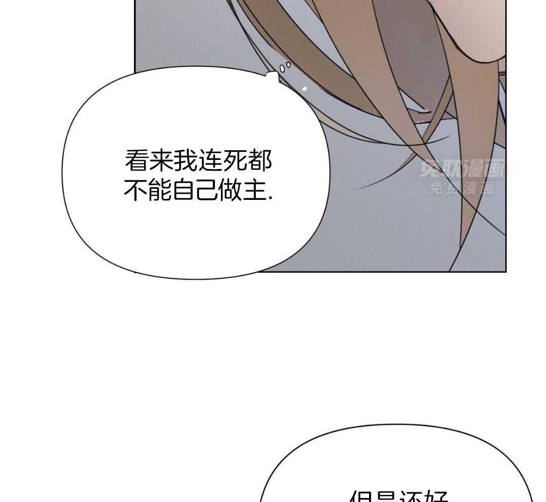 回来了