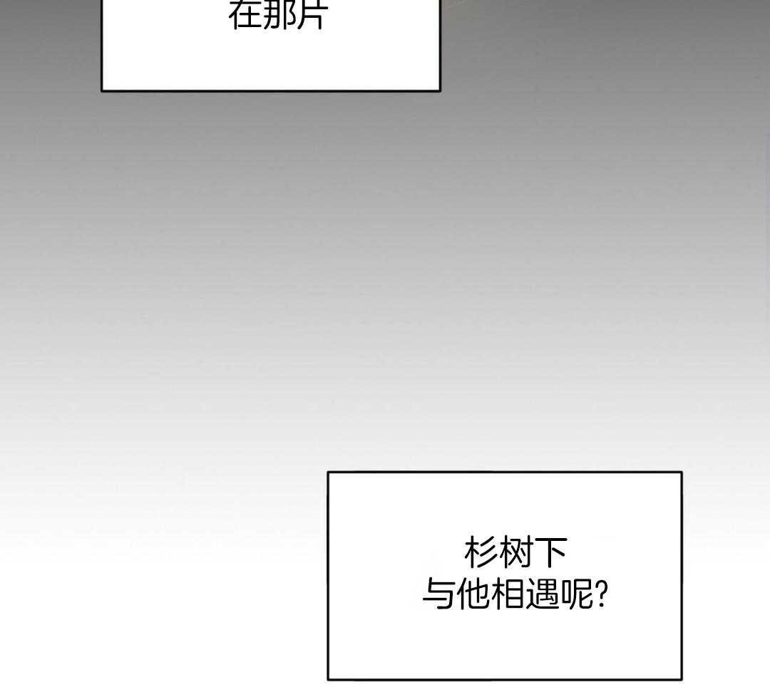 3_决心