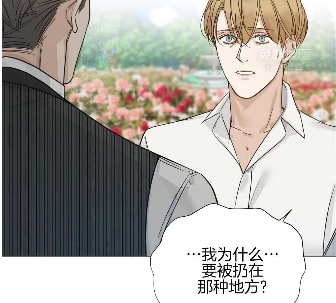 是复仇