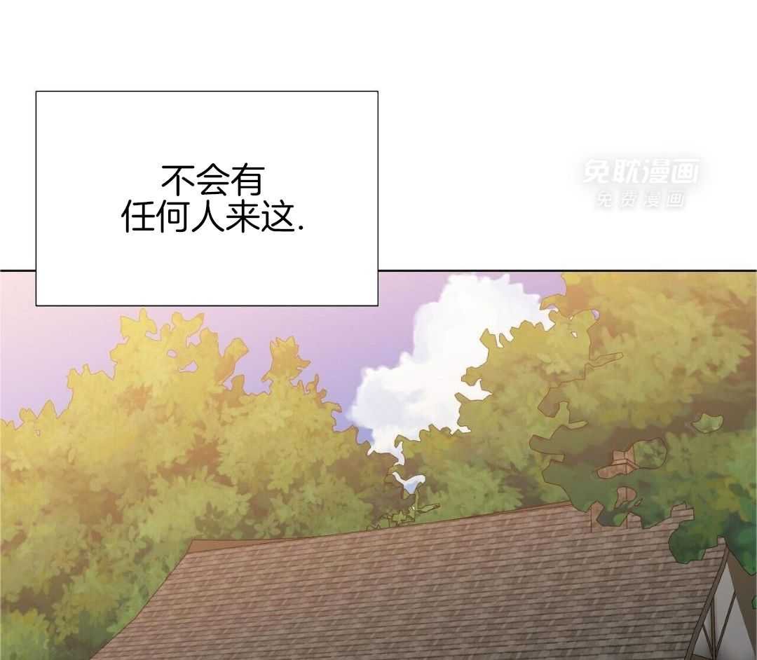 是复仇