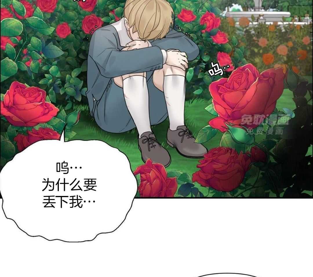 4_树的香气