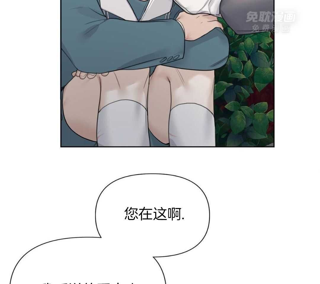 4_树的香气