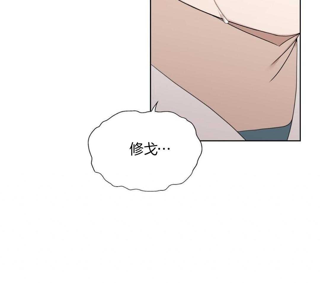 4_树的香气
