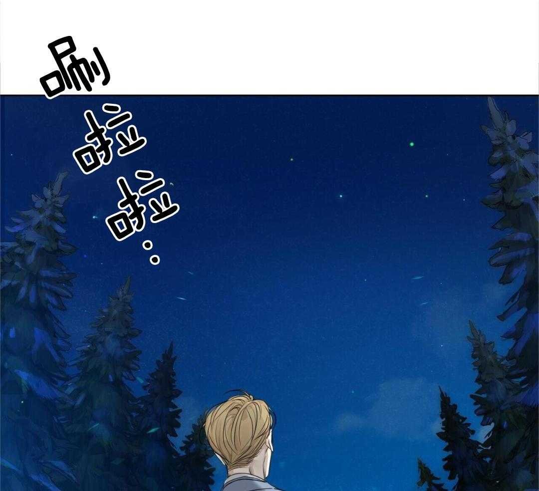 4_树的香气