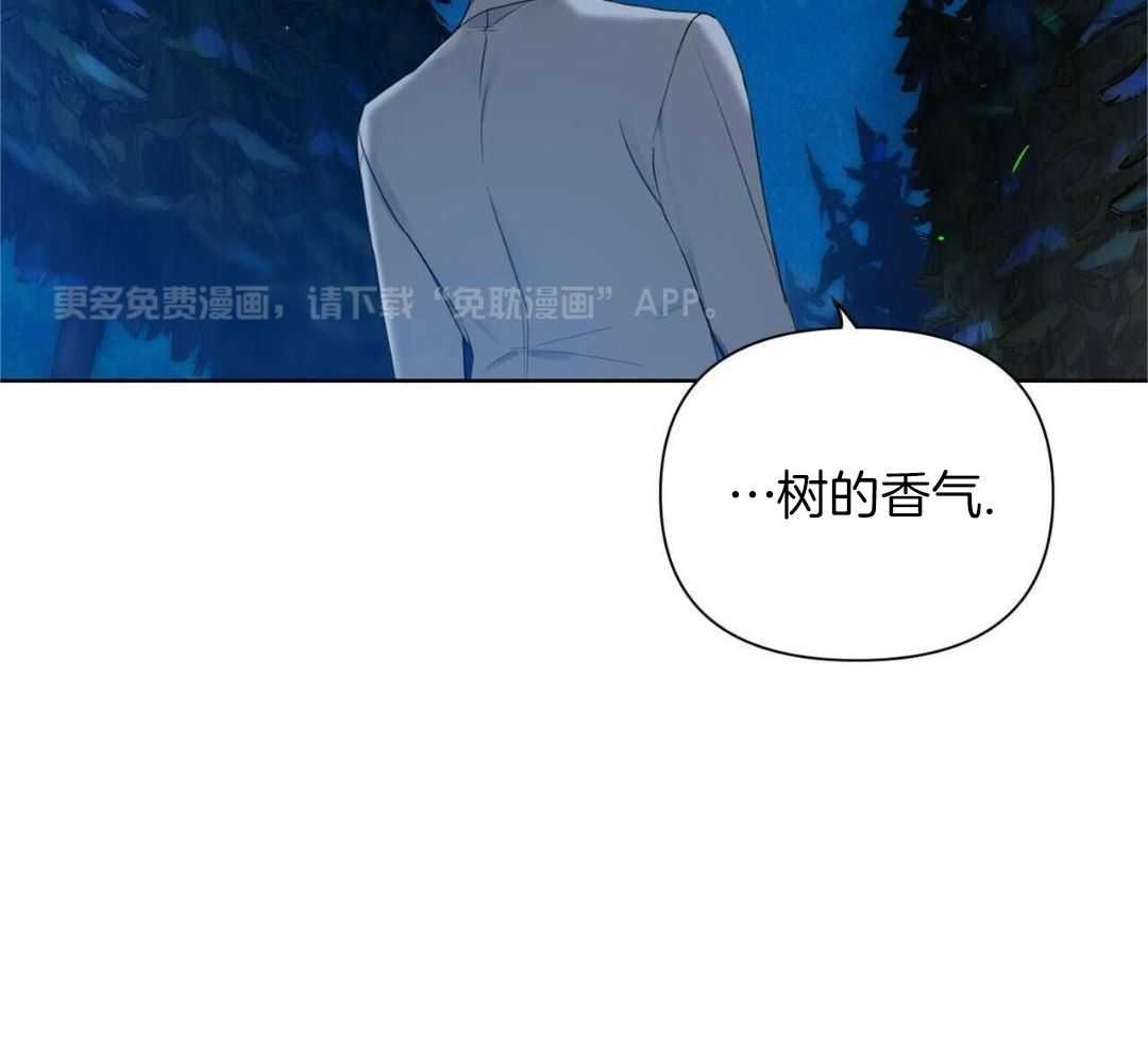 4_树的香气